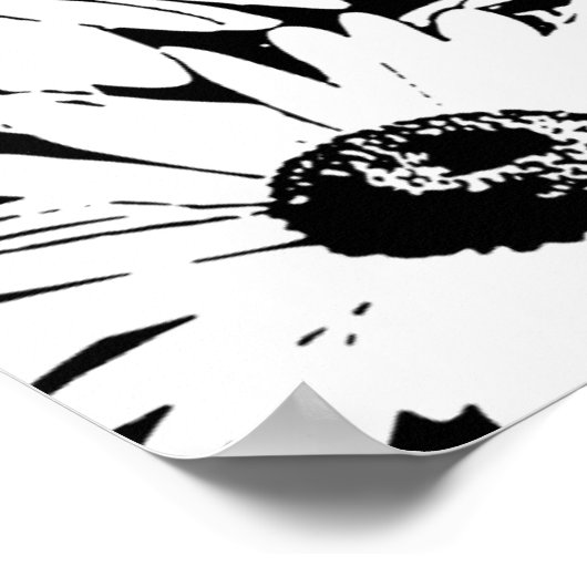 Black&White Daisies Poster (Ecke)