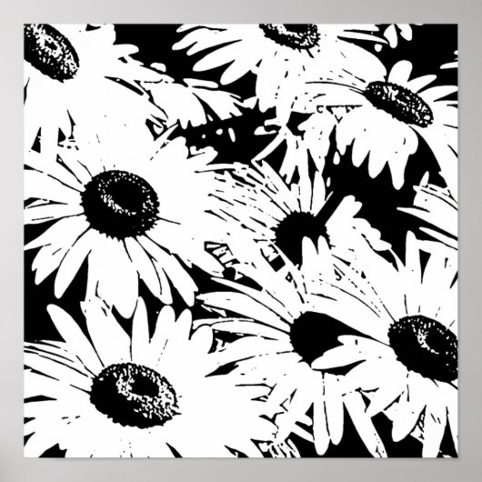 Black&White Daisies Poster (Vorne)