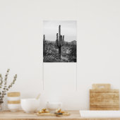 Black & White Desert Cactus 16x20 Poster Print (Küche)