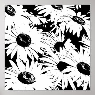 Black&White Gänseblümchen Poster