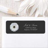 Black & White Gerbera Daisy | Floral Address (Insitu)