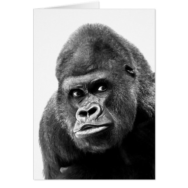Black White Gorilla (Vorne)