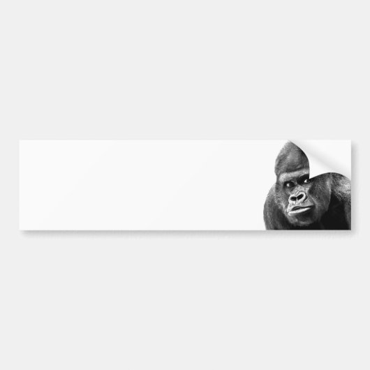 Black White Gorilla Autoaufkleber (Vorne)