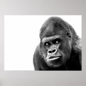 Black White Gorilla Poster (Vorne)