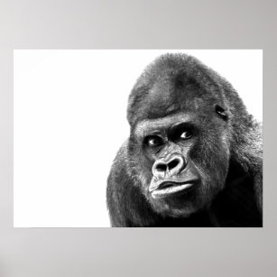 Black White Gorilla Poster