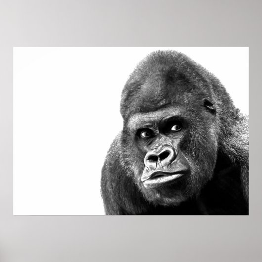Black White Gorilla Poster (Vorne)