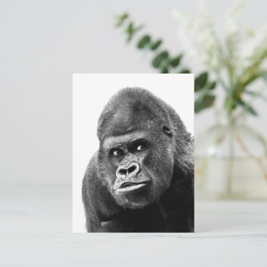 Black White Gorilla Postkarte (Stehend Vorderseite)