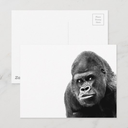 Black White Gorilla Postkarte (Vorne/Hinten)