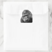 Black White Gorilla Quadratischer Aufkleber (Tasche)