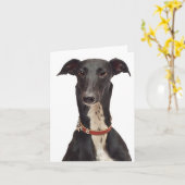 Black & White Greyhound Puppy Dodge Blank Note Car Karte (Gelbe Blume)