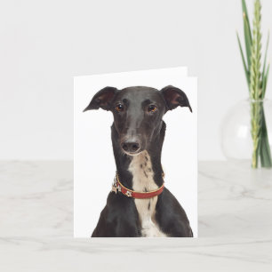 Black & White Greyhound Puppy Dodge Blank Note Car Karte