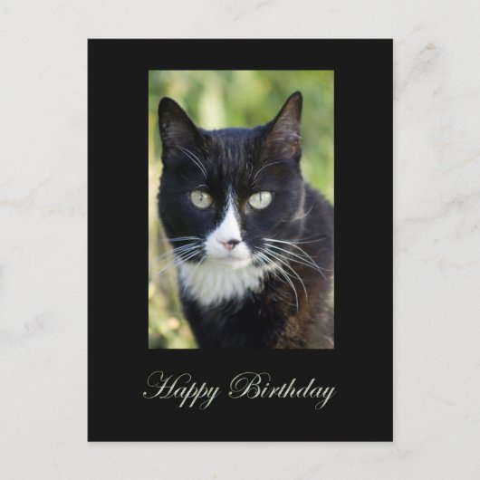Black & White, Happy Birthday Postcard. Postkarte (Vorderseite)