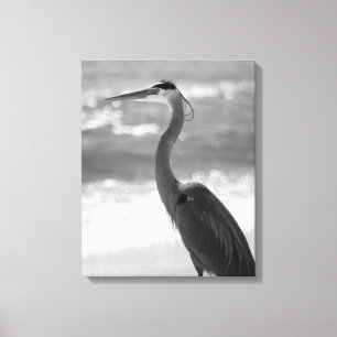 Black & White Heron am Strand 16x20 Leinwanddruck