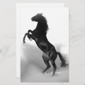 Black White Horse Briefpapier (Vorne/Hinten)