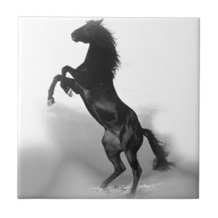 Black White Horse Fliese