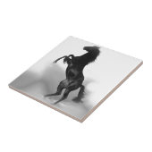 Black White Horse Fliese (Seite)