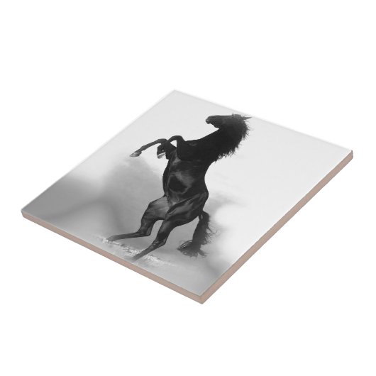 Black White Horse Fliese (Seite)