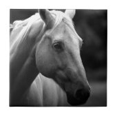Black White Horse Fliese (Vorderseite)