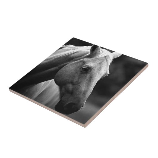 Black White Horse Fliese (Seite)