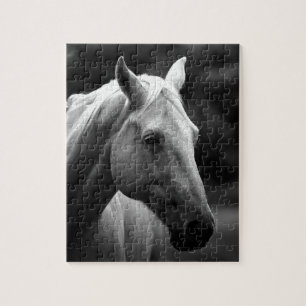 Black White Horse Foto - Animals Puzzle
