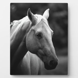 Black White Horse Fotoplatte