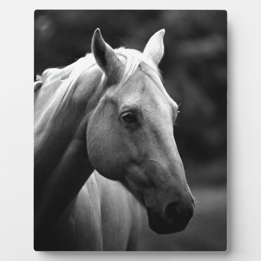 Black White Horse Fotoplatte (Vorderseite)