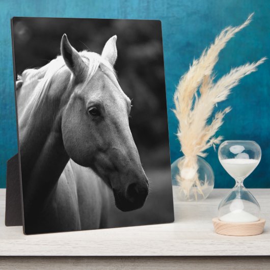 Black White Horse Fotoplatte (Seite)