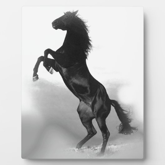 Black White Horse Fotoplatte (Vorderseite)