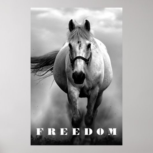 Black White Horse Motivational Freedom Artwork Poster (Vorne)