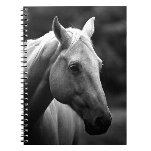 Black White Horse Notizblock (Vorderseite)