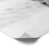 Black White Horse Poster (Ecke)