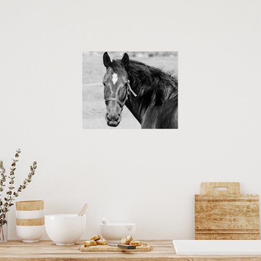 Black White Horse Poster (Küche)