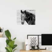 Black White Horse Poster (Heimbüro)
