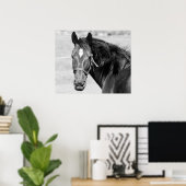 Black White Horse Poster (Heimbüro)