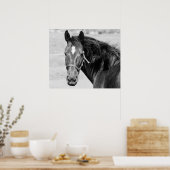 Black White Horse Poster (Küche)