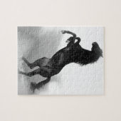 Black White Horse Puzzle (Horizontal)