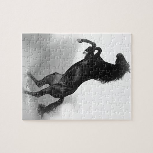 Black White Horse Puzzle (Horizontal)