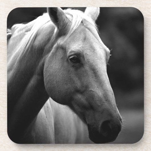 Black White Horse Untersetzer (Vorderseite)