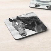 Black White Horse Untersetzer (Linke Seite)