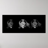 Black & White Jaguar Poster (Vorne)