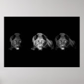 Black & White Jaguar Poster - Wilde Katzen (Vorne)
