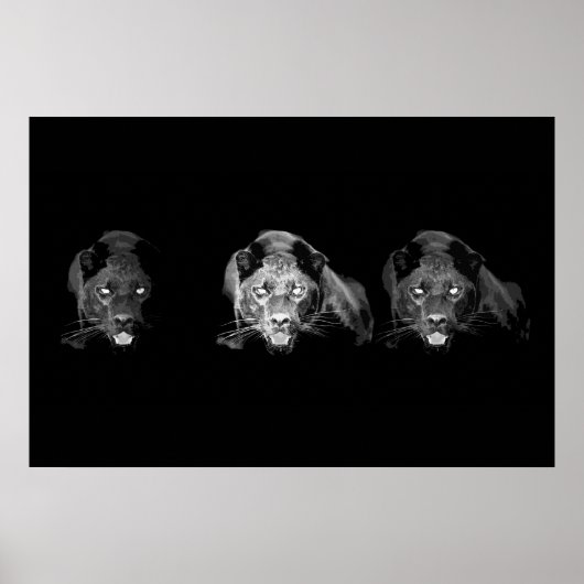 Black & White Jaguar Poster - Wilde Katzen (Vorne)
