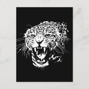 Black & White Jaguar Postkarte