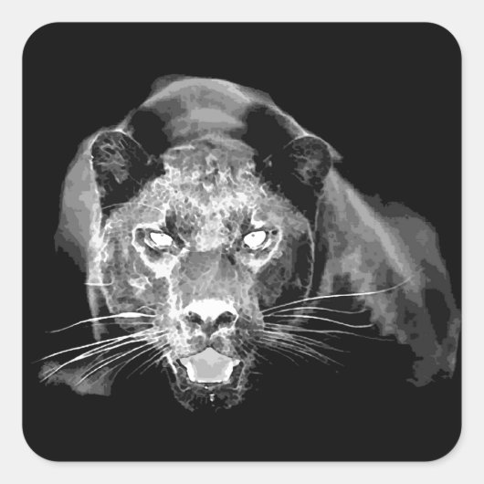Black & White Jaguar Quadratischer Aufkleber (Vorderseite)