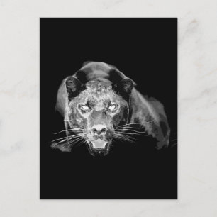 Black & White Jaguar - Wilde Katzen Postkarte