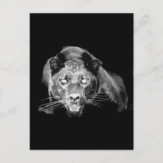 Black & White Jaguar - Wilde Katzen Postkarte (Vorderseite)