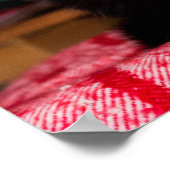 Black & White Kitty Cat Anpassbares Poster (Ecke)