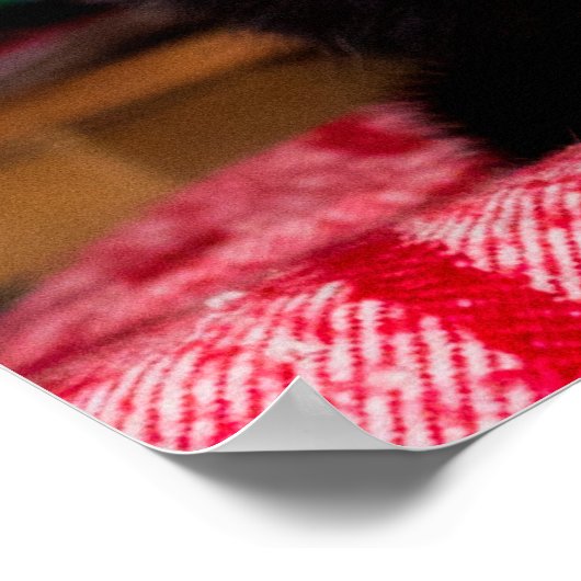 Black & White Kitty Cat Anpassbares Poster (Ecke)