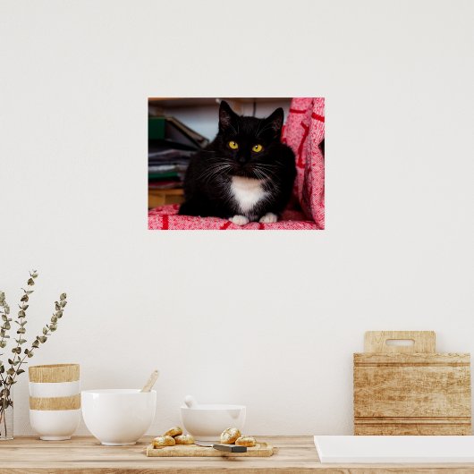 Black & White Kitty Cat Anpassbares Poster (Küche)
