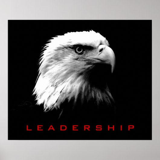 Black & White Leadership Eagyes Poster (Vorne)
